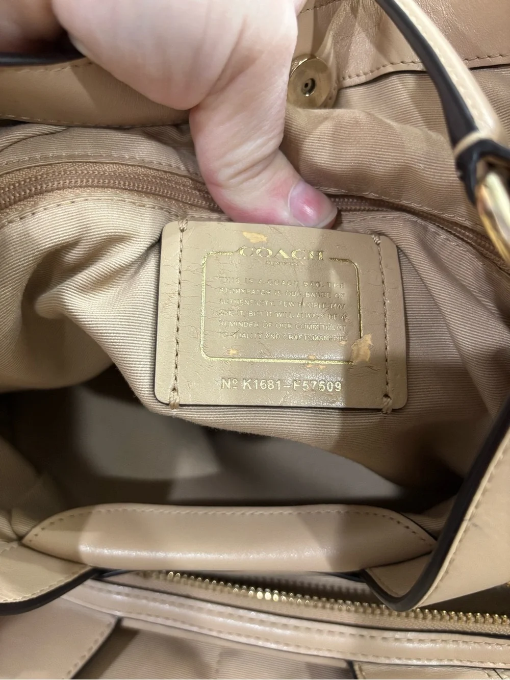 Coach Lexy Snakeskin Embossed and Suede Patchwork Shoulder Bag